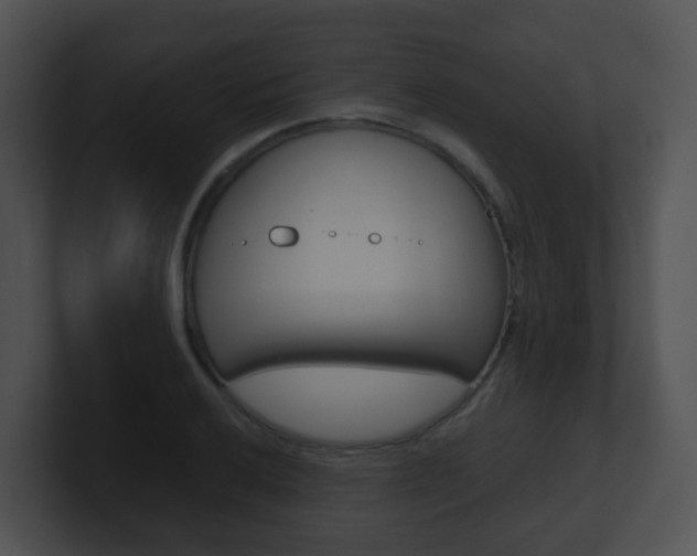 X0000100911032200806241047