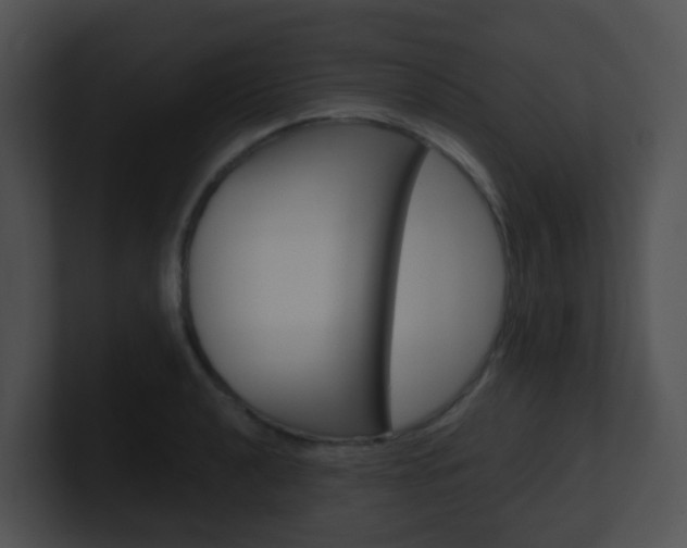 X0000100911040200806241047