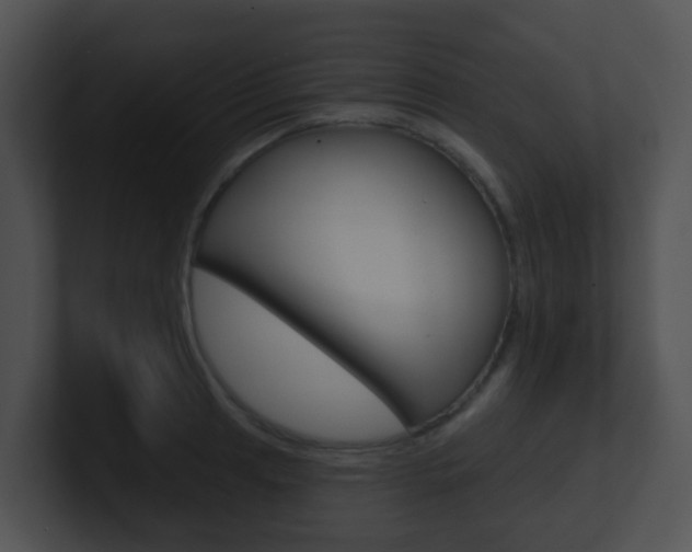 X0000100911041200806241047