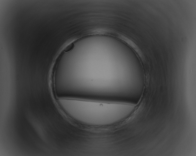 X0000100911042200806241047