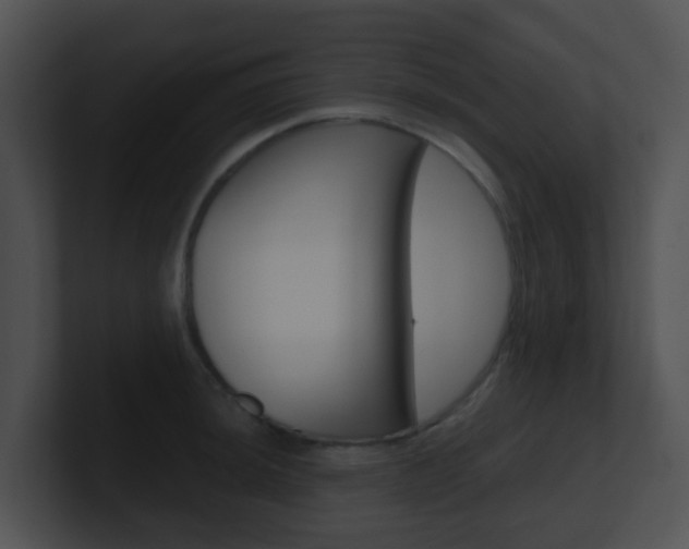 X0000100911044200806241047