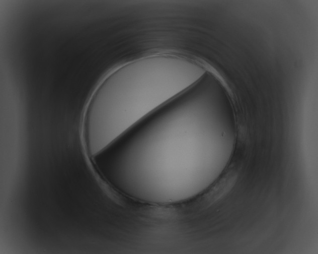 X0000100911050200806241047