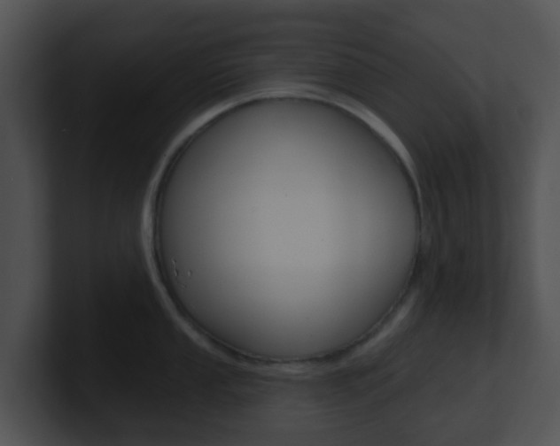 X0000100911053200806241047