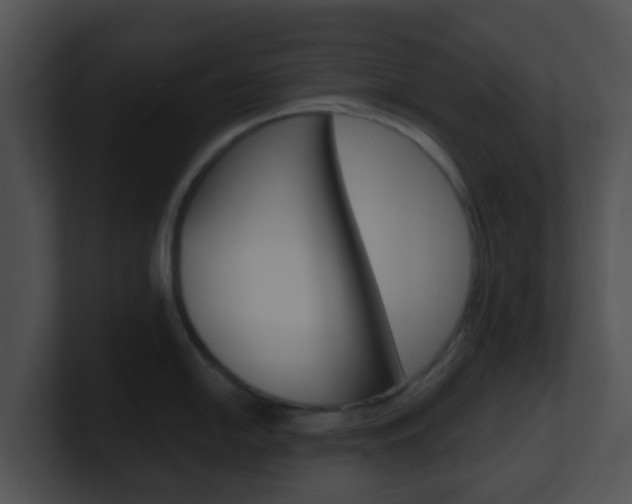 X0000100911054200806241047