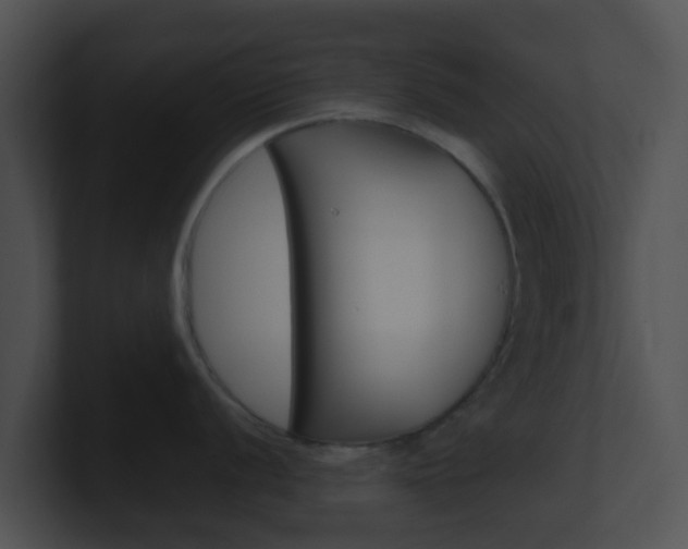 X0000100911056200806241047