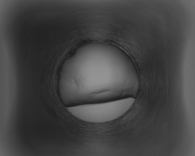 X0000100911057200806241046