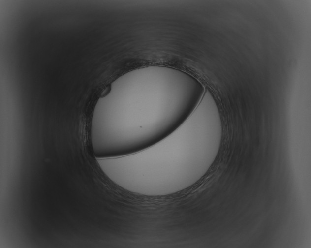 X0000100911058200806241046