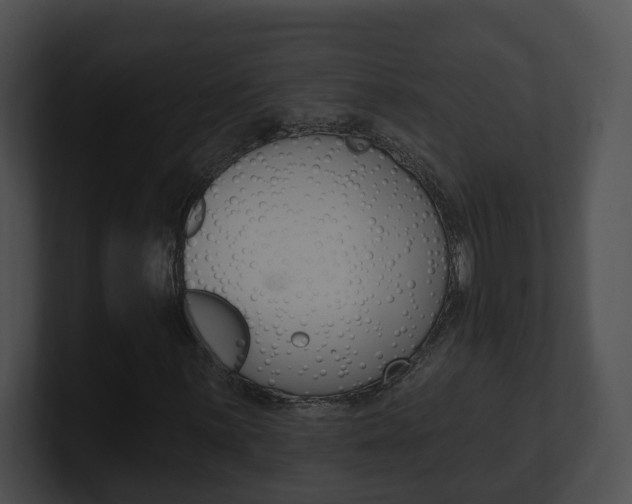 X0000100911059200806241046