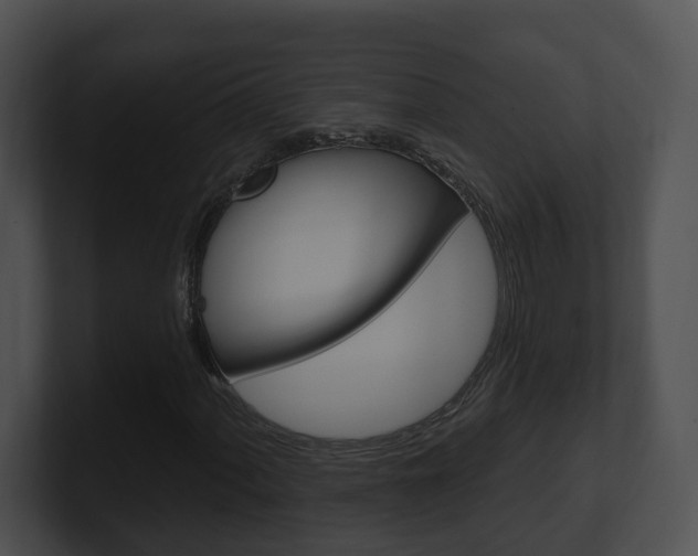 X0000100911060200806241046