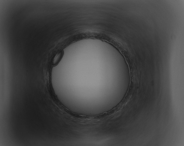 X0000100911061200806241046