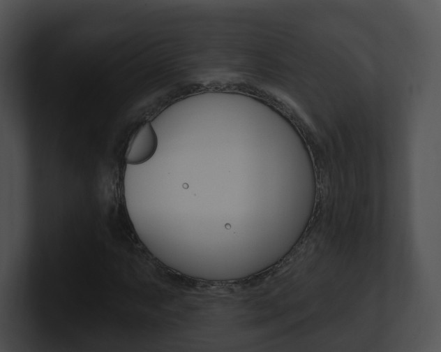 X0000100911063200806241046