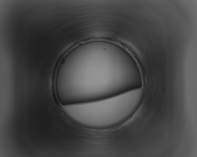 X0000100911065200806241046