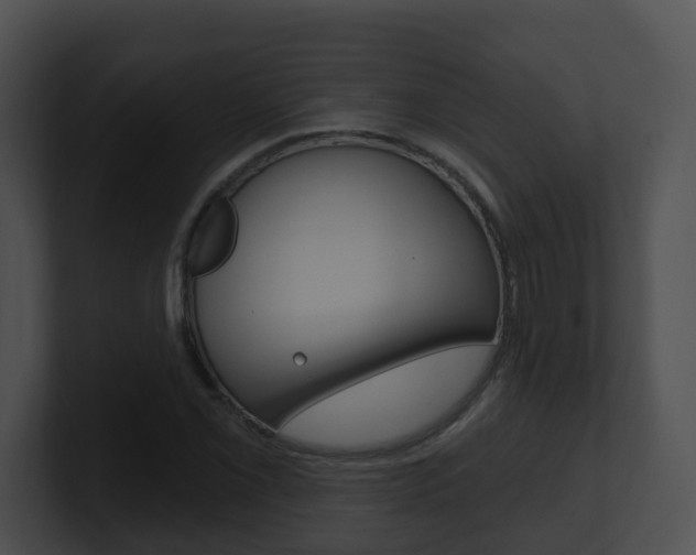 X0000100911069200806241046