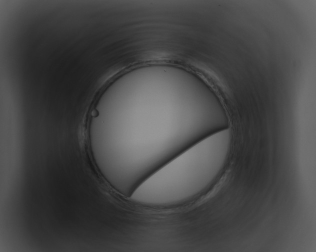 X0000100911073200806241046