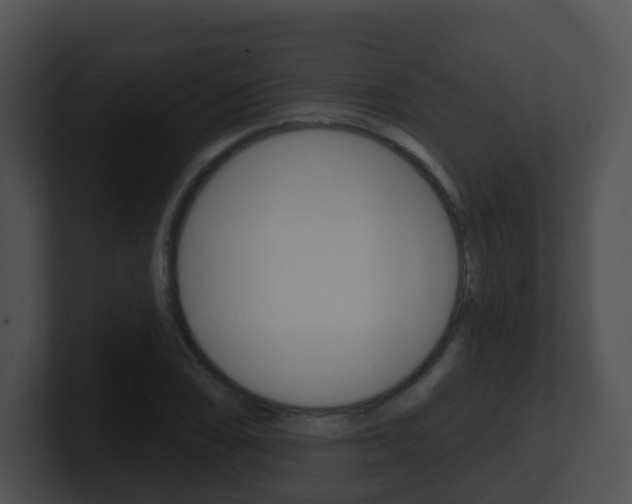 X0000100911074200806241046