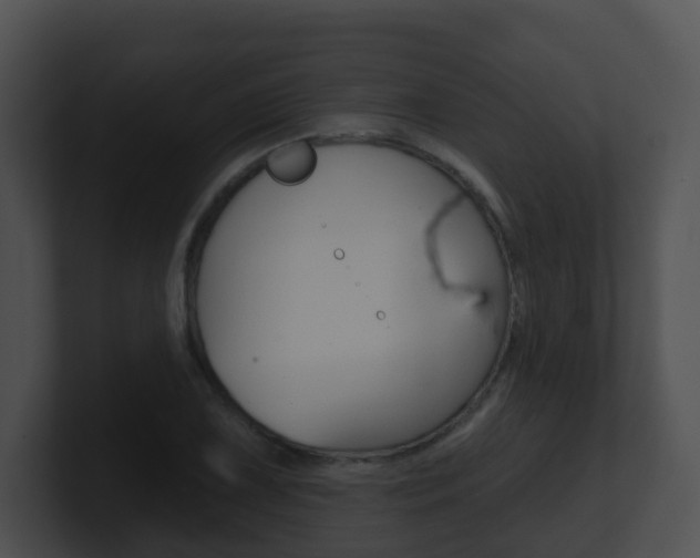 X0000100911075200806241046