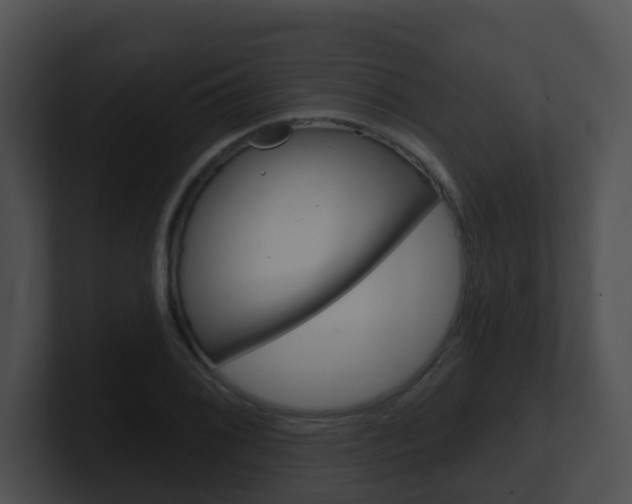 X0000100911076200806241046