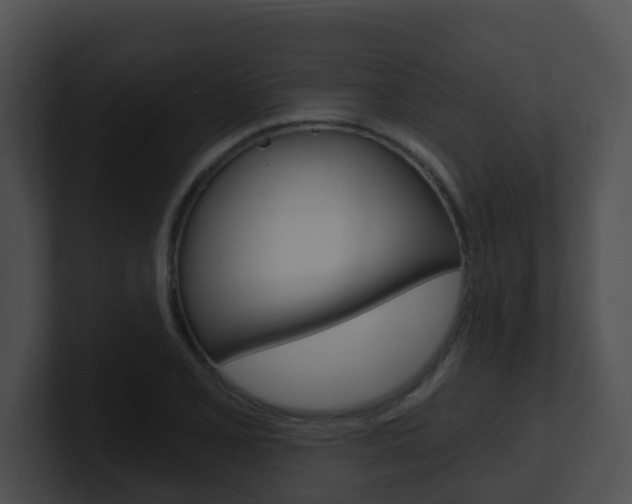 X0000100911077200806241046