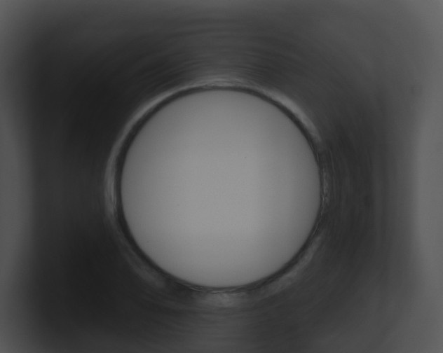 X0000100911078200806241046