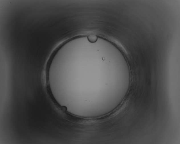 X0000100911079200806241046