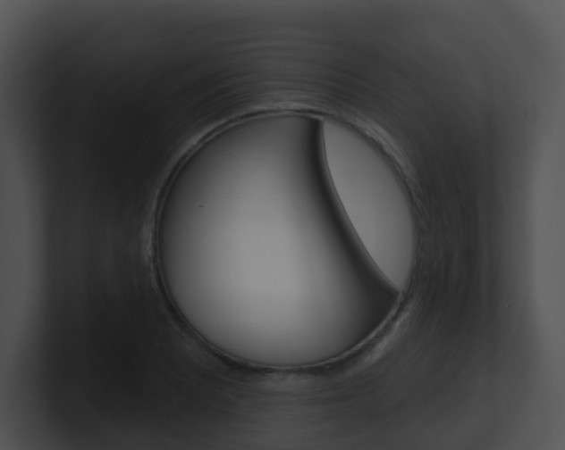 X0000100911081200806241046