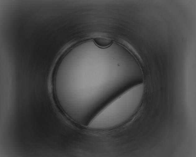 X0000100911082200806241046