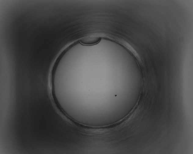 X0000100911084200806241046