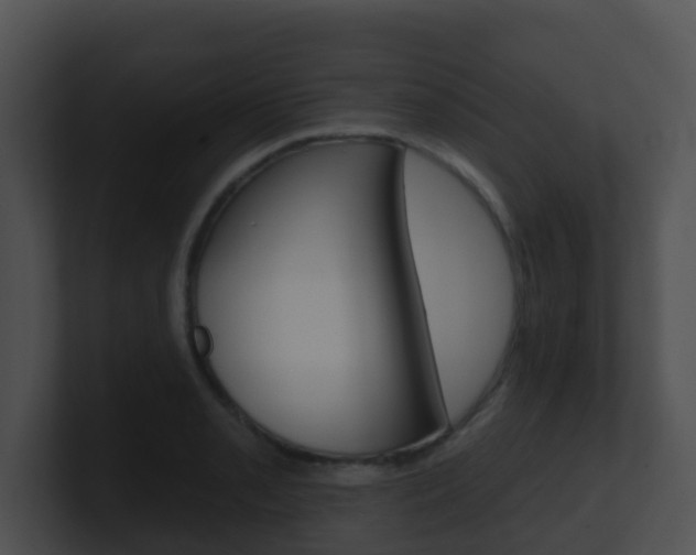 X0000100911085200806241046