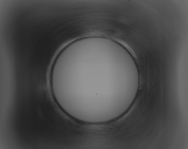X0000100911086200806241046