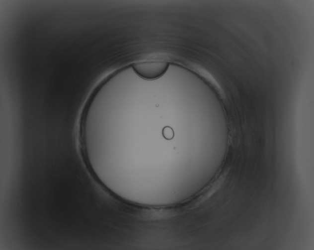 X0000100911087200806241046