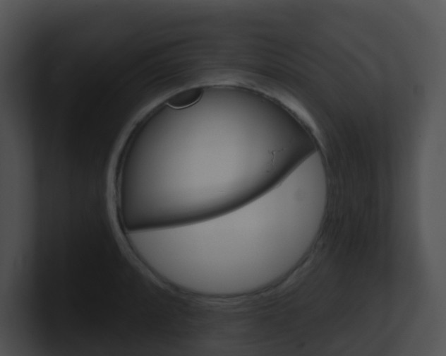 X0000100911088200806241046