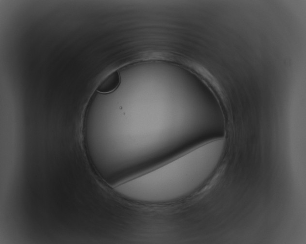 X0000100911089200806241046