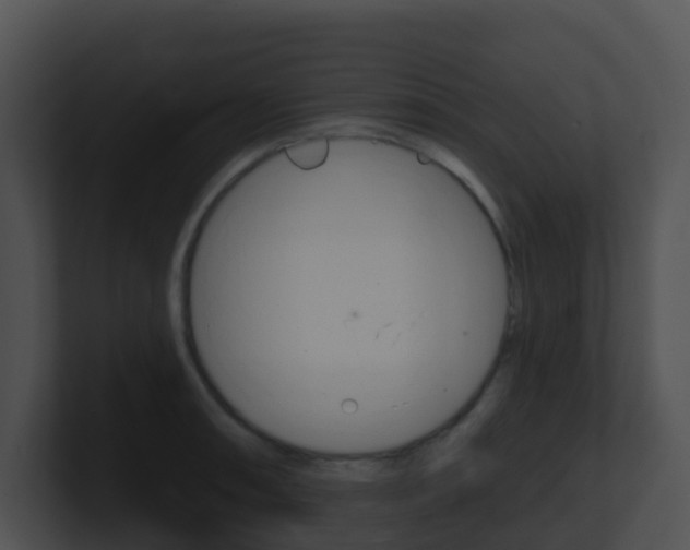 X0000100911090200806241046
