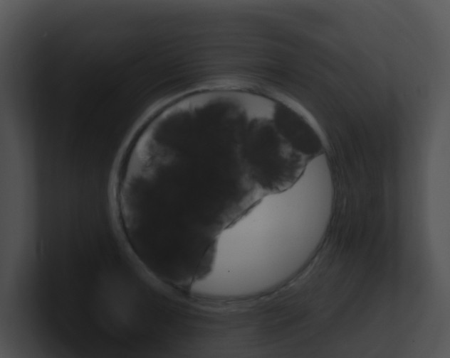 X0000100911091200806241046