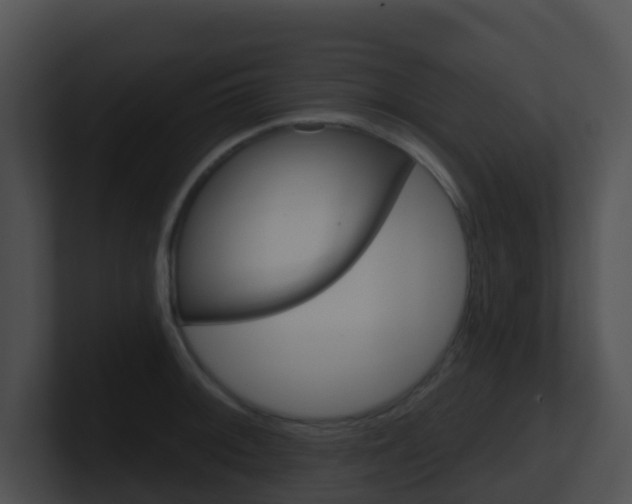 X0000100911092200806241046