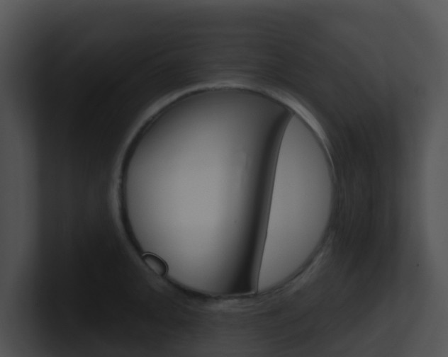 X0000100911093200806241046