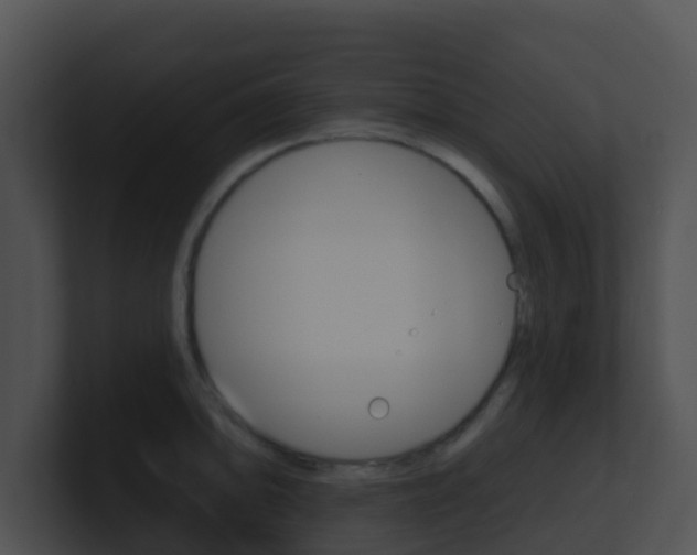 X0000100911094200806241046