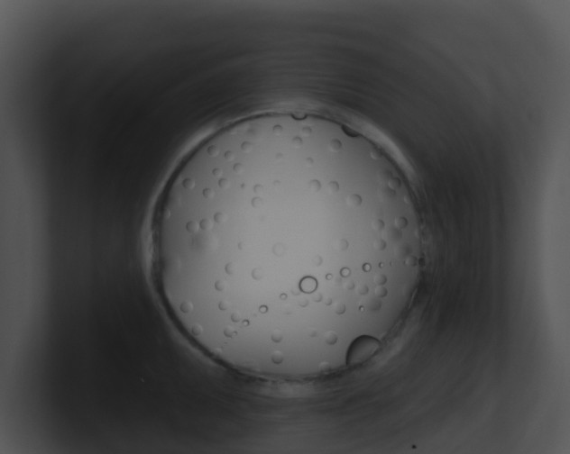 X0000100911095200806241046