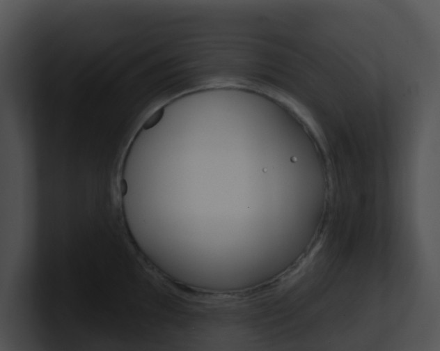 X0000100911097200806241046