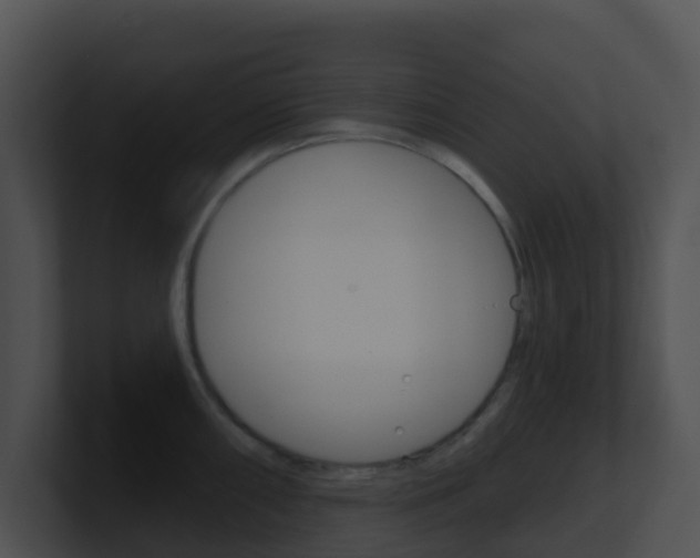 X0000100911098200806241046