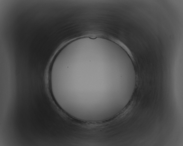 X0000100911099200806241046