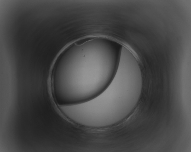 X0000100911100200806241046