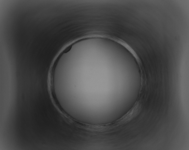 X0000100911101200806241046