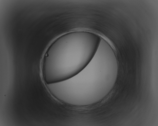 X0000100911102200806241046