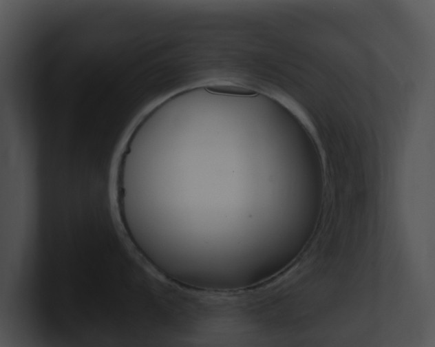 X0000100911104200806241046