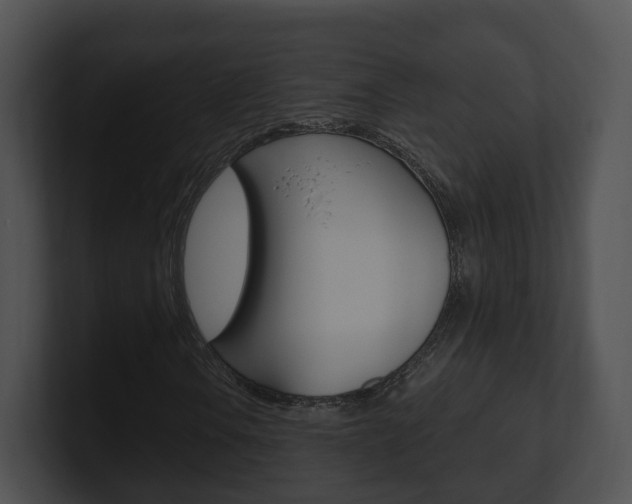 X0000100911106200806241045