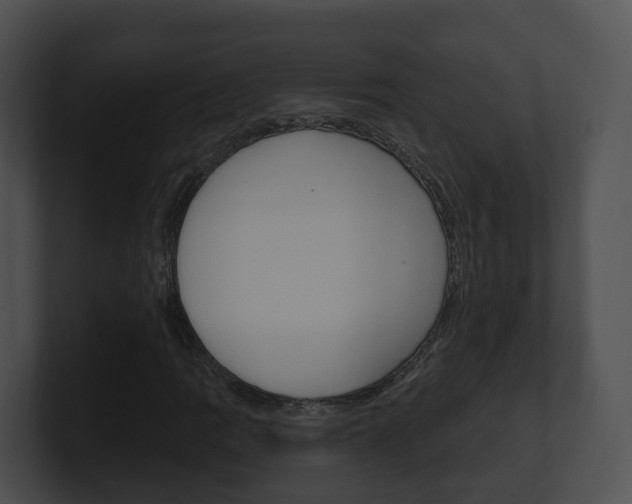 X0000100911109200806241045