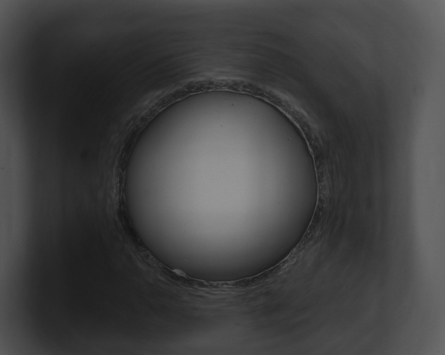 X0000100911110200806241045