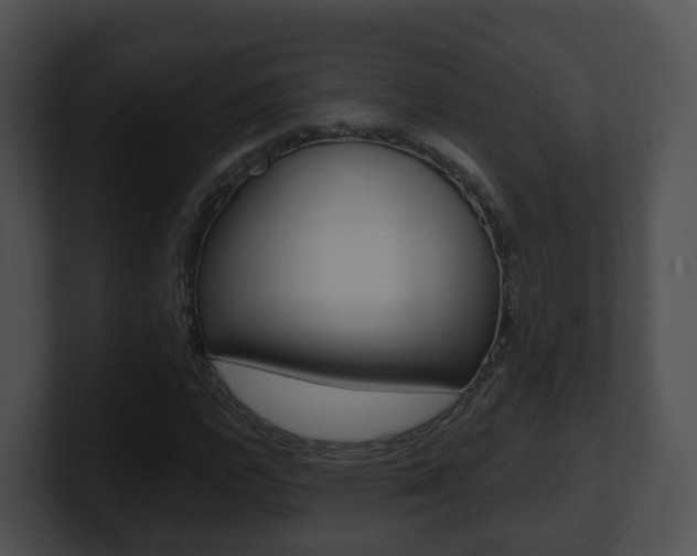 X0000100911112200806241045