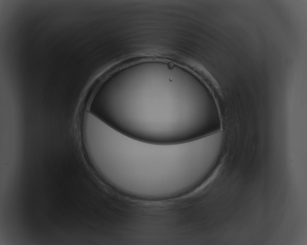 X0000100911114200806241045